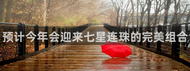 摩登7游戏官网版