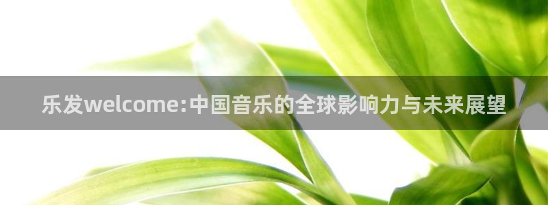摩登7官方网站：乐发welcome:中国音乐的全球影响力与未来展望
