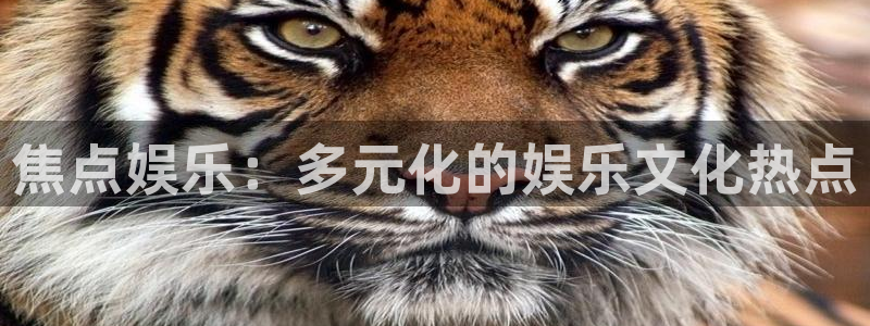 壹号app下载官网娱乐：焦点娱乐：多元化的娱乐文化热点