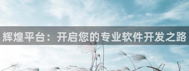 摩登7app下载：辉煌平台：开启您的专业软件开发之路