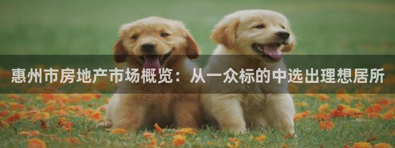壹号电子娱乐app下载官网：惠州市房地产市场概览：从一众标的中选出理想居所