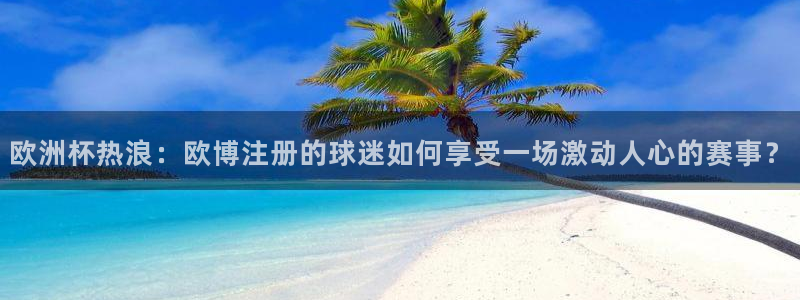 摩登7网站平台登录：欧洲杯热浪：欧博注册的球迷如何享受一场激动人心的赛事？