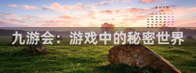 壹号国际app免费下载安装：九游会：游戏中的秘密世界