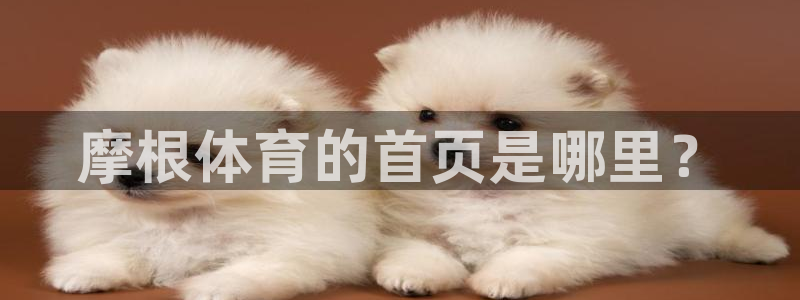 南宫摩登7官网下载链接：摩根体育的首页是哪里？