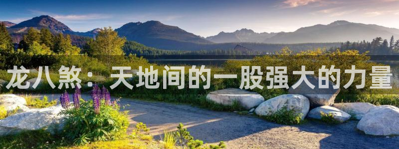 摩登7app 是什么：龙八煞：天地间的一股强大的力量