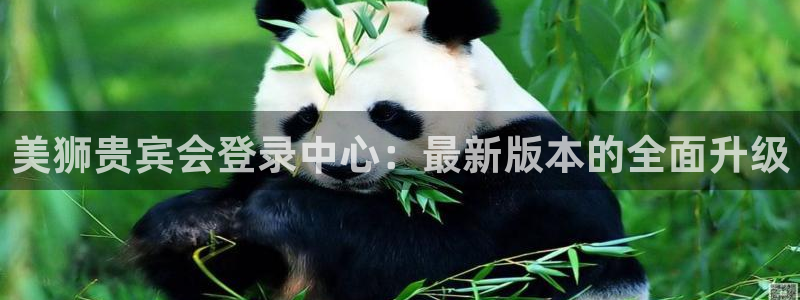 摩登7(com.youad.authst)：美狮贵宾会登录中心：最新版本的全面升级