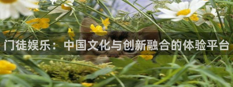 摩登7app下载