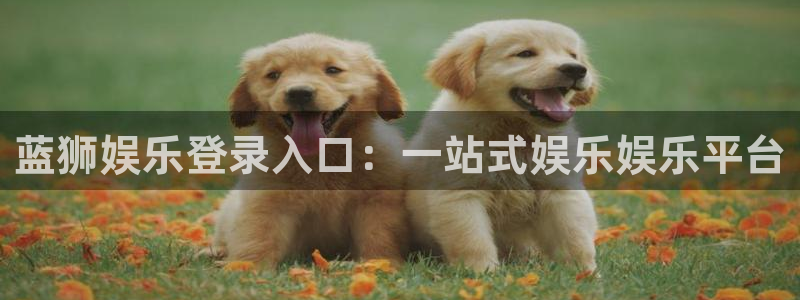 摩登7注册入口与教程