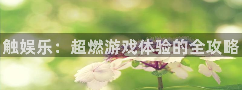 壹号大舞台