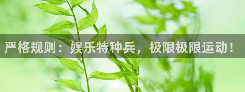 摩登7官方网站