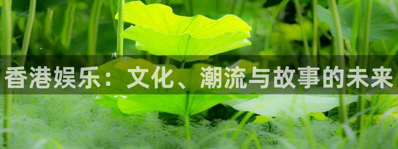 摩登7,apk.1