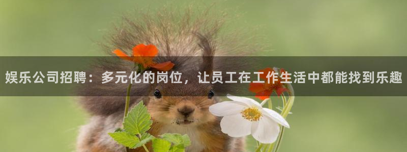 摩登7.ccm官网版