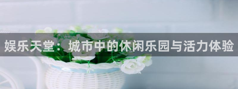 摩登7app官网