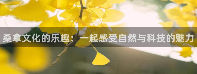 摩登7手机客户端下载安装