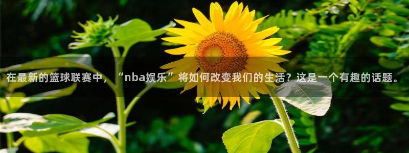 摩登7游戏官网平台入口：在最新的篮球联赛中，“nba娱乐”将如何改变我们的生活？这是一个有趣的话题。