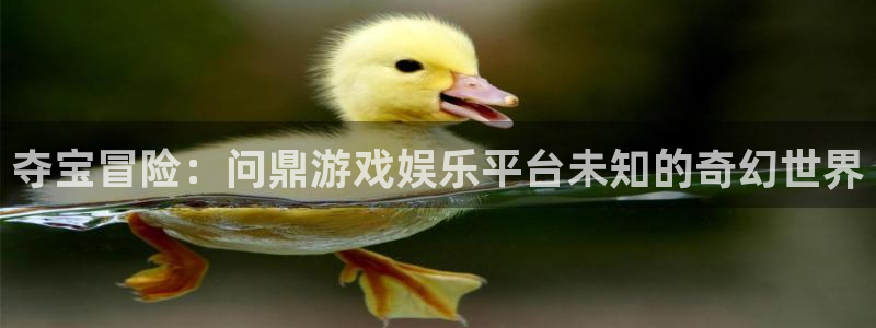 摩登7app官网下载：夺宝冒险：问鼎游戏娱乐平台未知的奇幻世界
