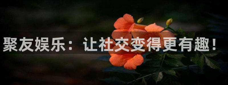 摩登7：聚友娱乐：让社交变得更有趣！