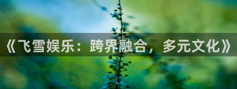 壹号top娱乐：《飞雪娱乐：跨界融合，多元文化》