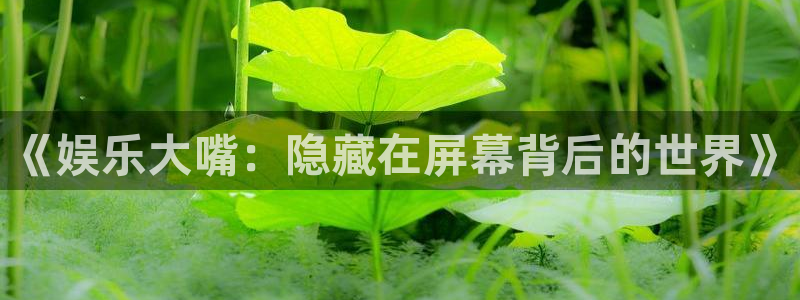 摩登7注册网页版：《娱乐大嘴：隐藏在屏幕背后的世界》