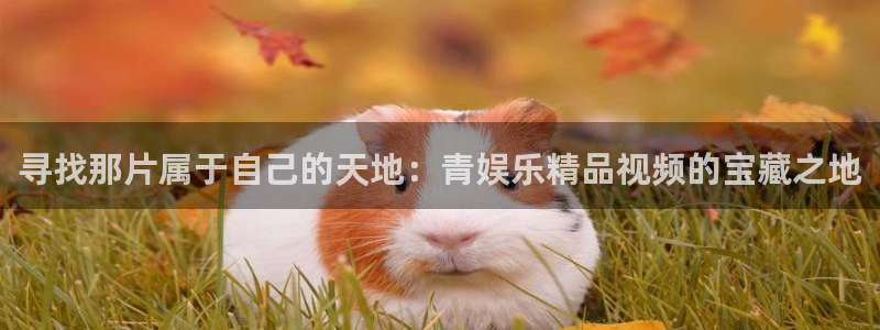 摩登7是大平台吗：寻找那片属于自己的天地：青娱乐精品视频的宝藏之地