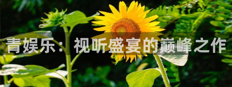 壹号平台下载安装官网：青娱乐：视听盛宴的巅峰之作
