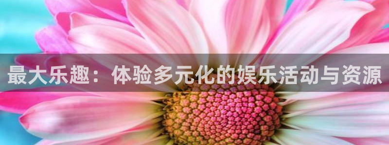 壹号电子娱乐app：最大乐趣：体验多元化的娱乐活动与资源