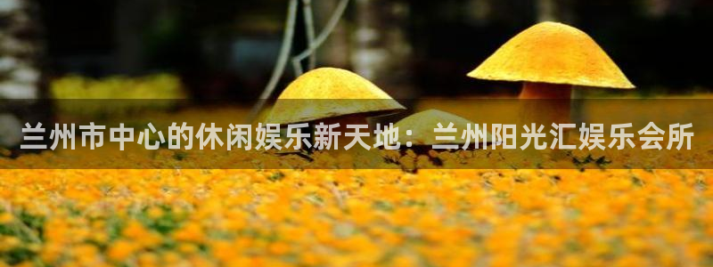 摩登7下载：兰州市中心的休闲娱乐新天地：兰州阳光汇娱乐会所