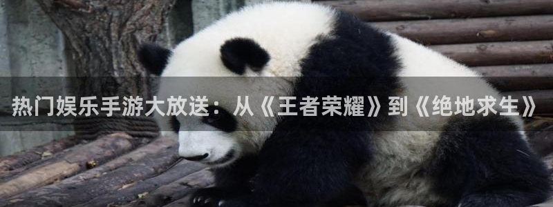 壹号电子娱乐app下载最新版本安装：热门娱乐手游大放送：从《王者荣耀》到《绝地求生》