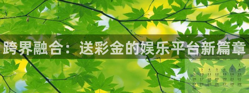 壹号注册入口app下载：跨界融合：送彩金的娱乐平台新篇章