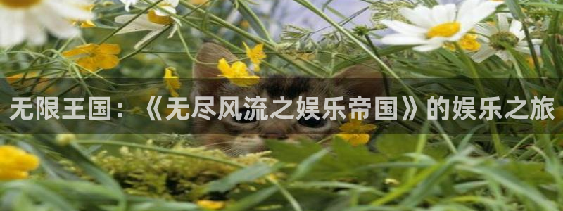 壹号app官网：无限王国：《无尽风流之娱乐帝国》的娱乐之旅