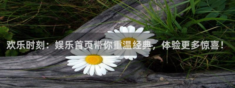 壹号app官方登录入口下载：欢乐时刻：娱乐首页带你重温经典，体验更多惊喜！
